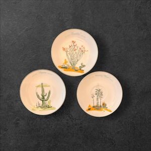 BLAKELY VINTAGE SOUTHWEST ARIZONA CACTUS REPLACEMENT SAUCERS 3 IN SET